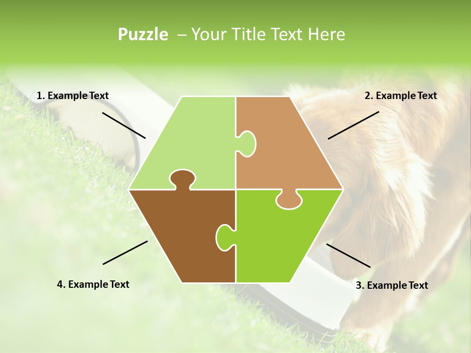 Doggie Lifestyle Dog PowerPoint Template