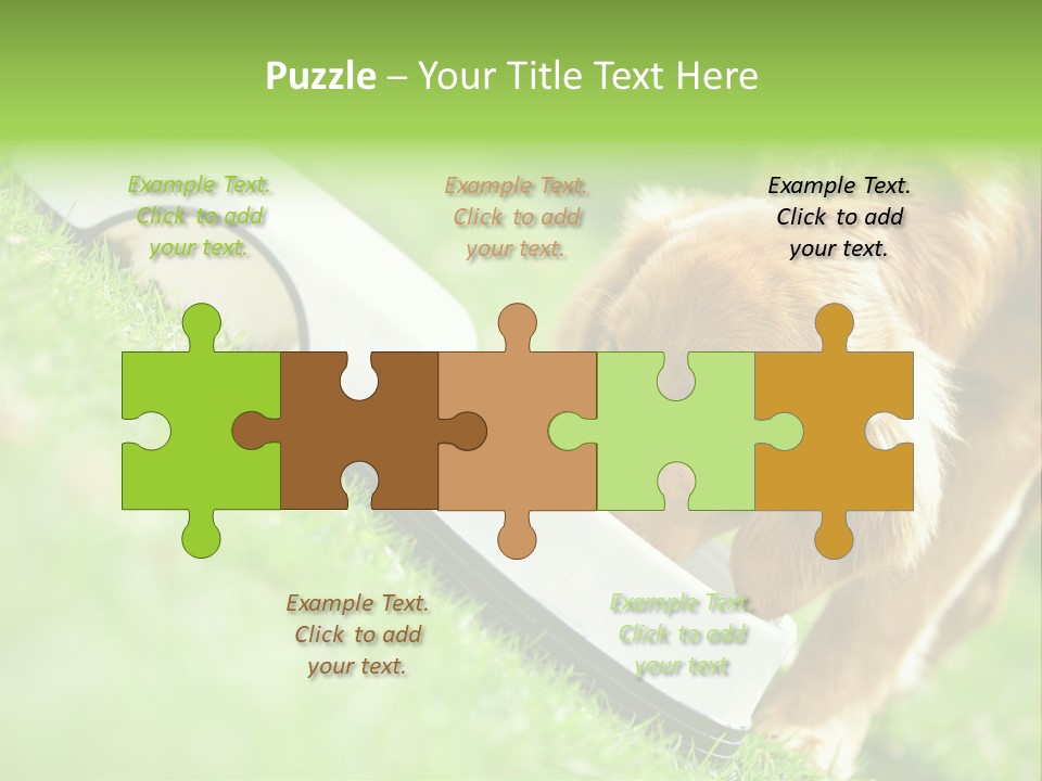 Doggie Lifestyle Dog PowerPoint Template