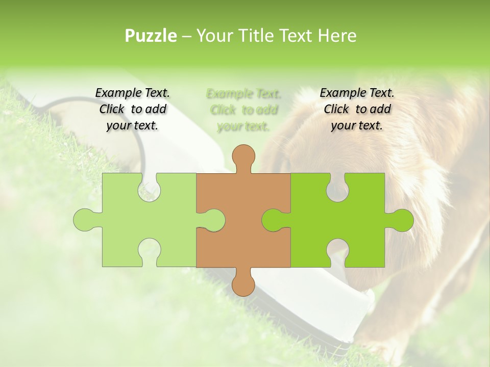 Doggie Lifestyle Dog PowerPoint Template