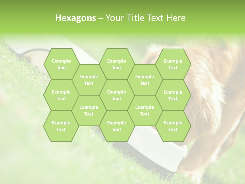 Doggie Lifestyle Dog PowerPoint Template