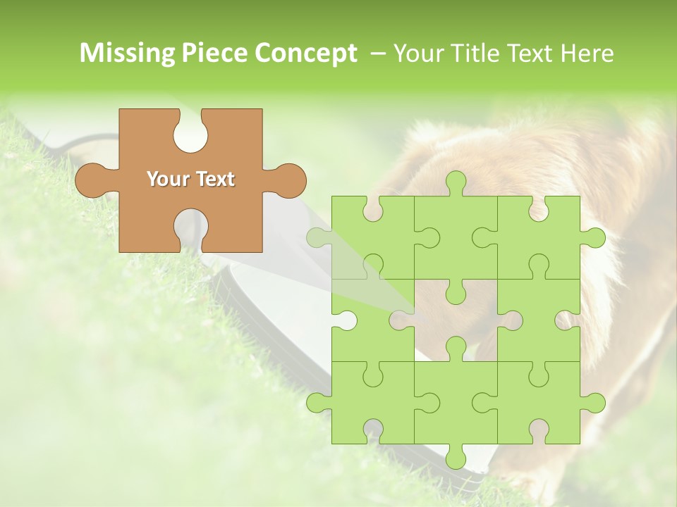 Doggie Lifestyle Dog PowerPoint Template