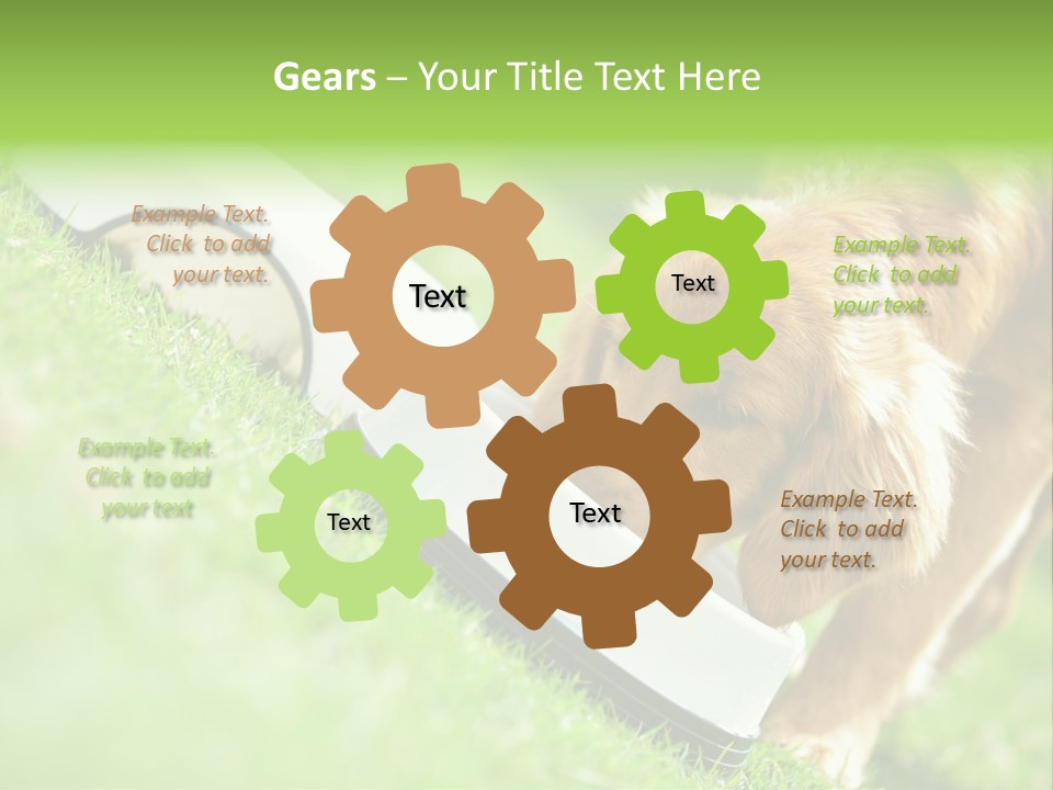 Doggie Lifestyle Dog PowerPoint Template