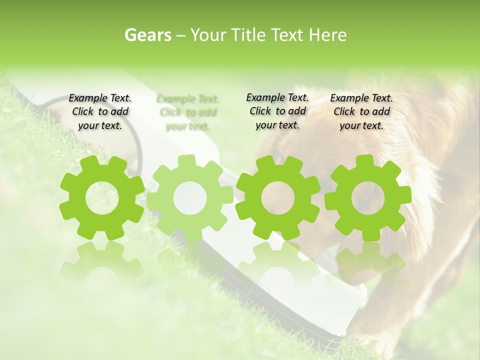 Doggie Lifestyle Dog PowerPoint Template