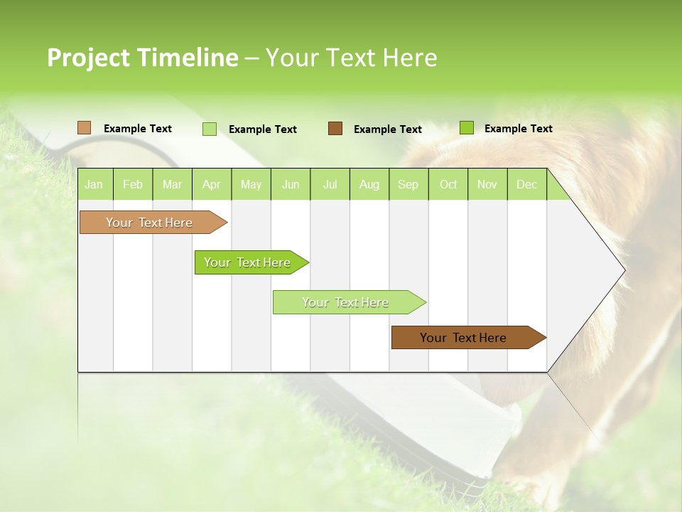 Doggie Lifestyle Dog PowerPoint Template