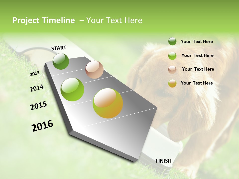 Doggie Lifestyle Dog PowerPoint Template