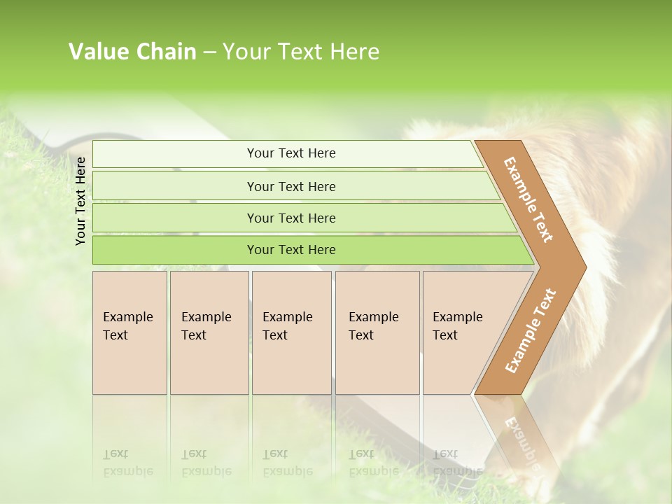 Doggie Lifestyle Dog PowerPoint Template