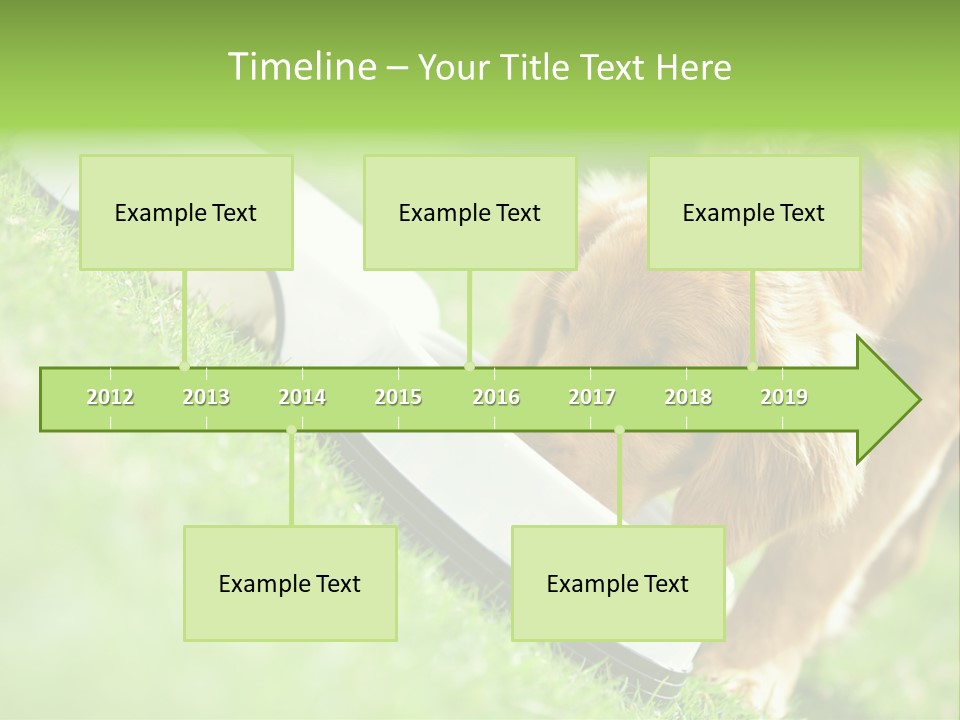 Doggie Lifestyle Dog PowerPoint Template