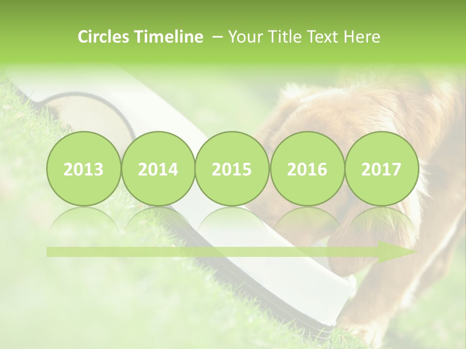 Doggie Lifestyle Dog PowerPoint Template