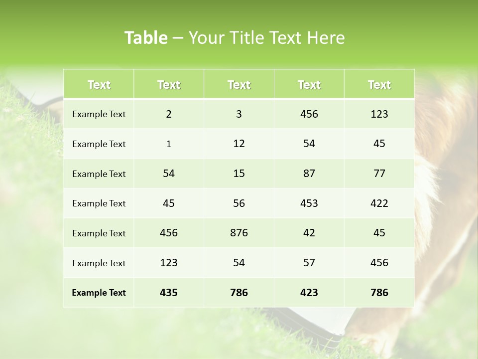 Doggie Lifestyle Dog PowerPoint Template