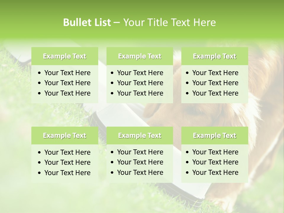 Doggie Lifestyle Dog PowerPoint Template