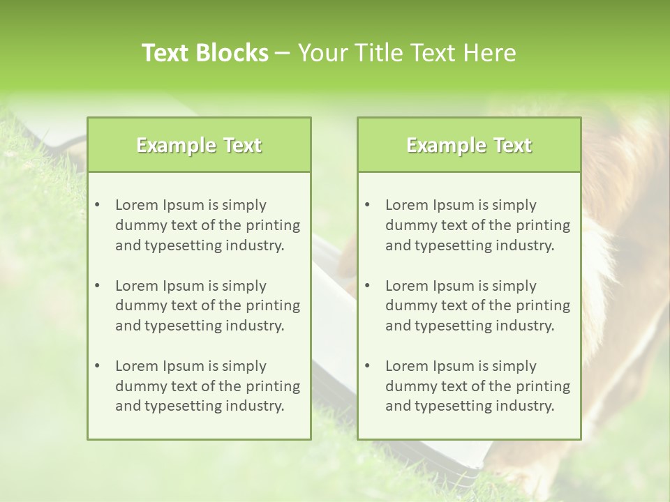 Doggie Lifestyle Dog PowerPoint Template