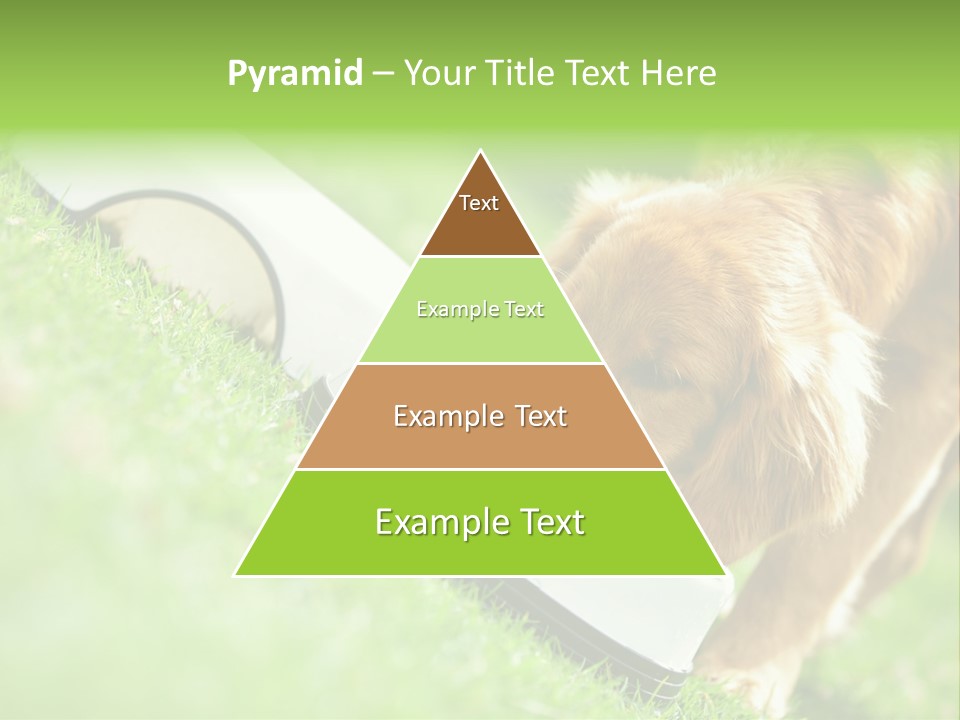 Doggie Lifestyle Dog PowerPoint Template
