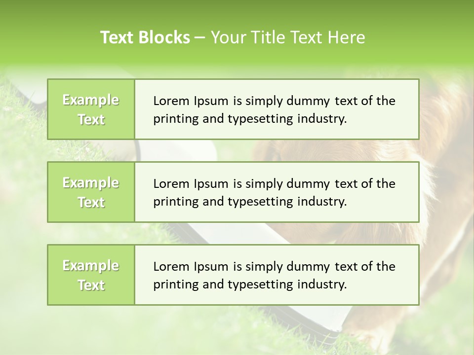 Doggie Lifestyle Dog PowerPoint Template