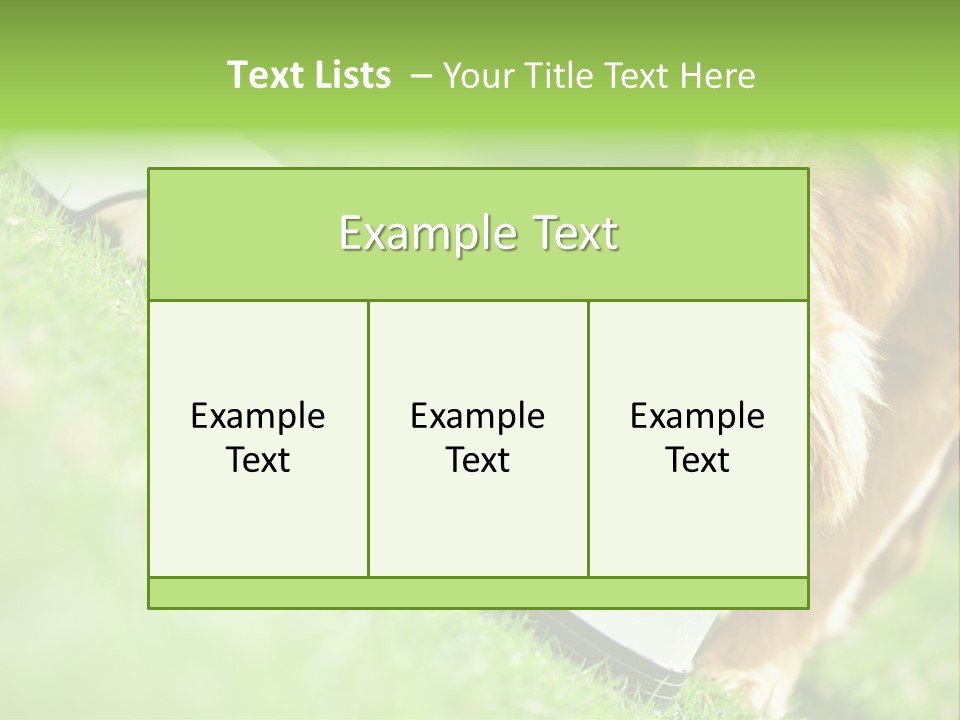 Doggie Lifestyle Dog PowerPoint Template