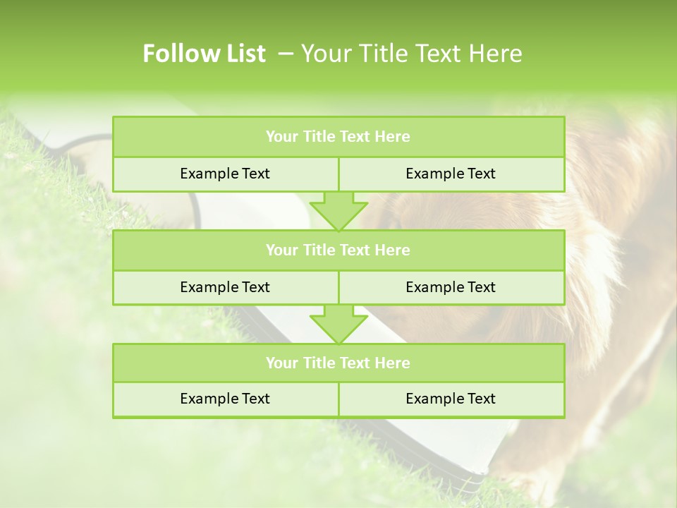 Doggie Lifestyle Dog PowerPoint Template