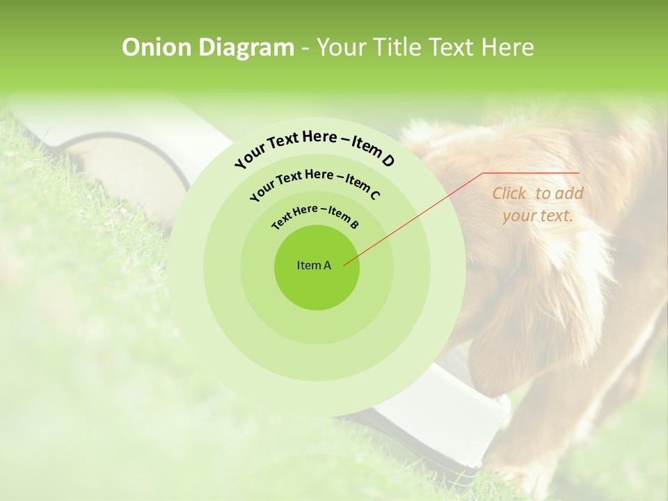 Doggie Lifestyle Dog PowerPoint Template