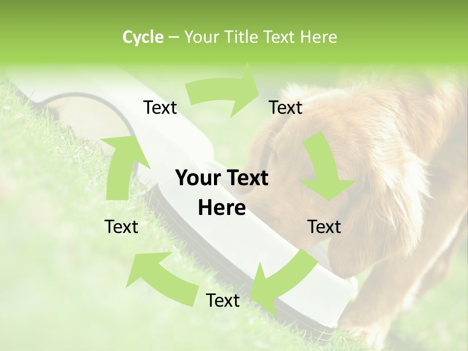 Doggie Lifestyle Dog PowerPoint Template