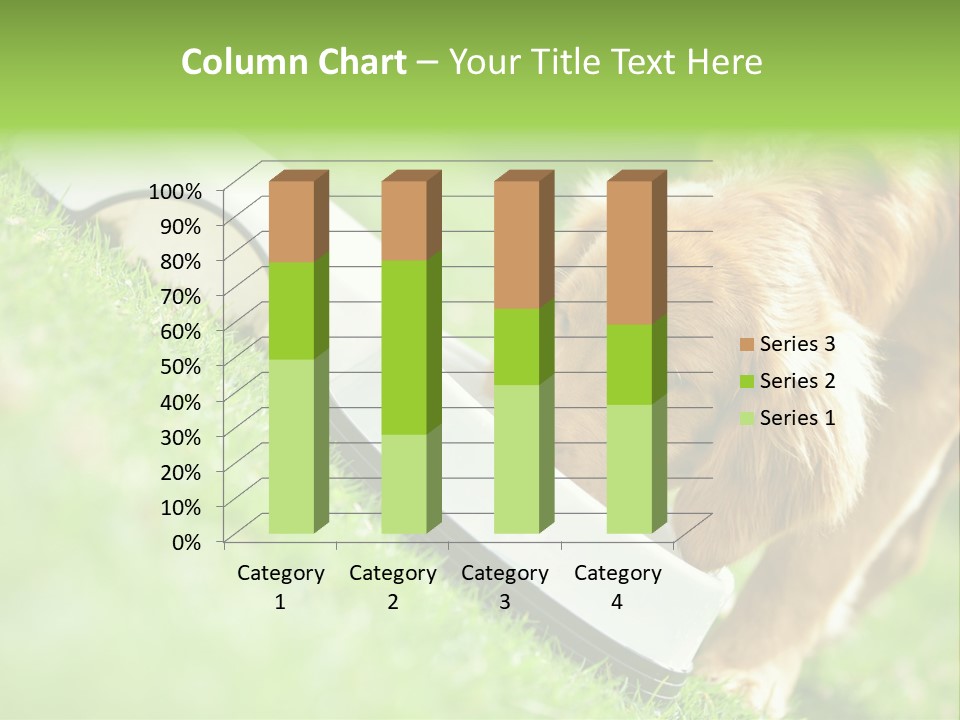 Doggie Lifestyle Dog PowerPoint Template