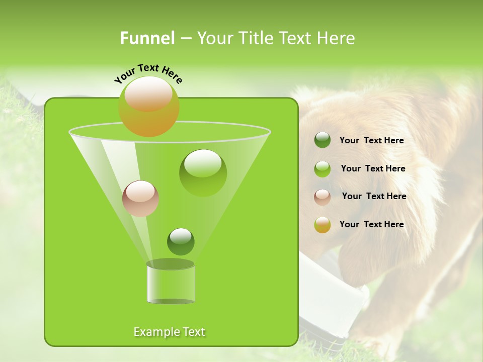 Doggie Lifestyle Dog PowerPoint Template