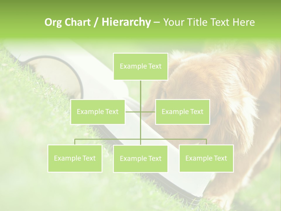 Doggie Lifestyle Dog PowerPoint Template