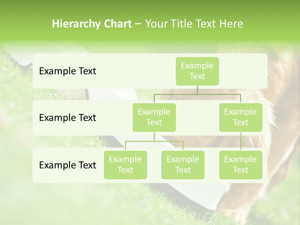Doggie Lifestyle Dog PowerPoint Template