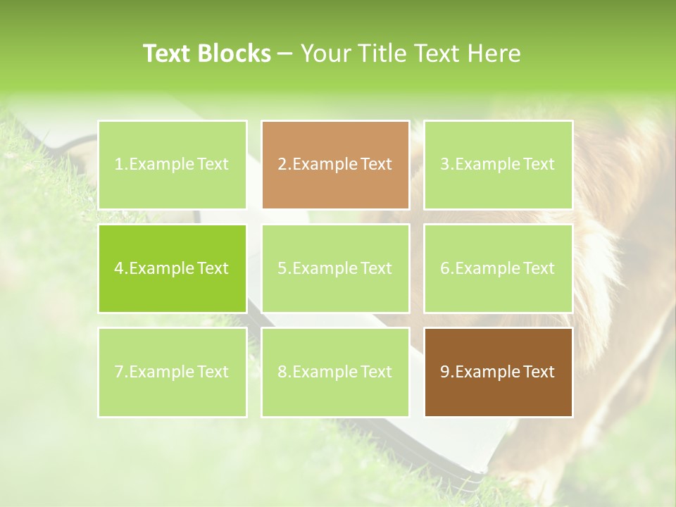 Doggie Lifestyle Dog PowerPoint Template