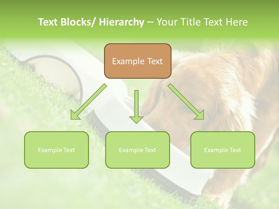 Doggie Lifestyle Dog PowerPoint Template