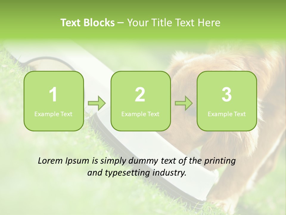 Doggie Lifestyle Dog PowerPoint Template