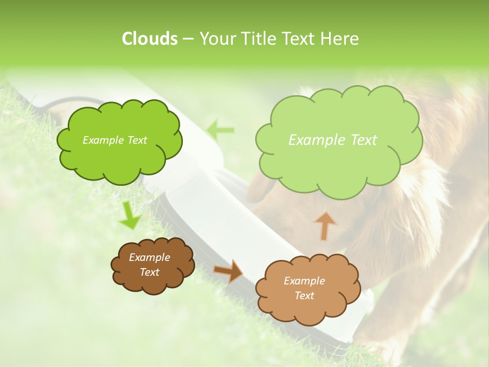 Doggie Lifestyle Dog PowerPoint Template