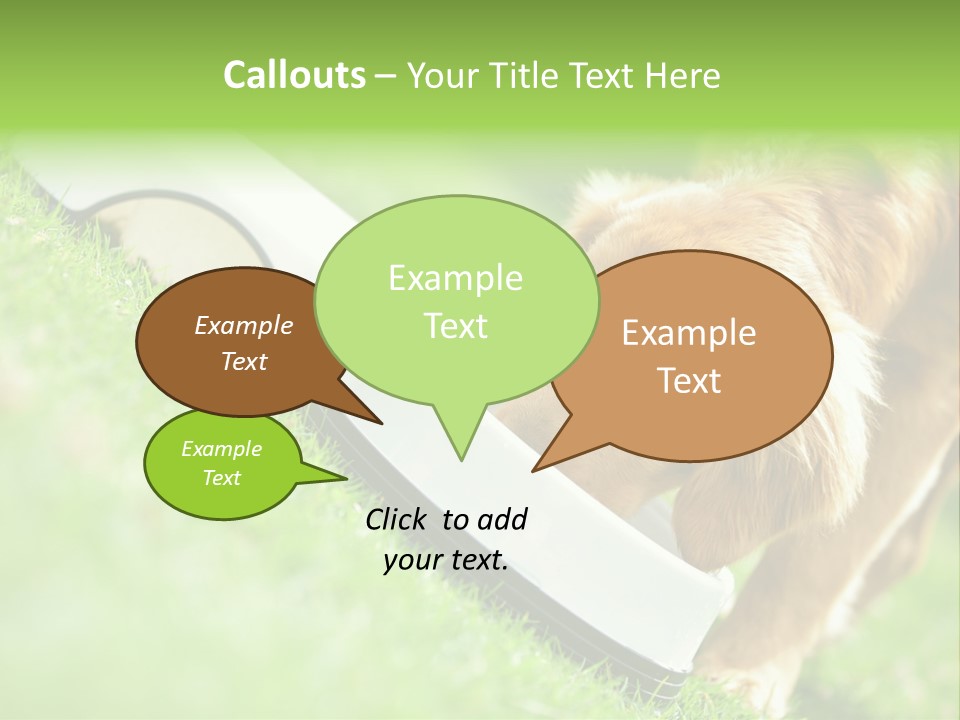 Doggie Lifestyle Dog PowerPoint Template