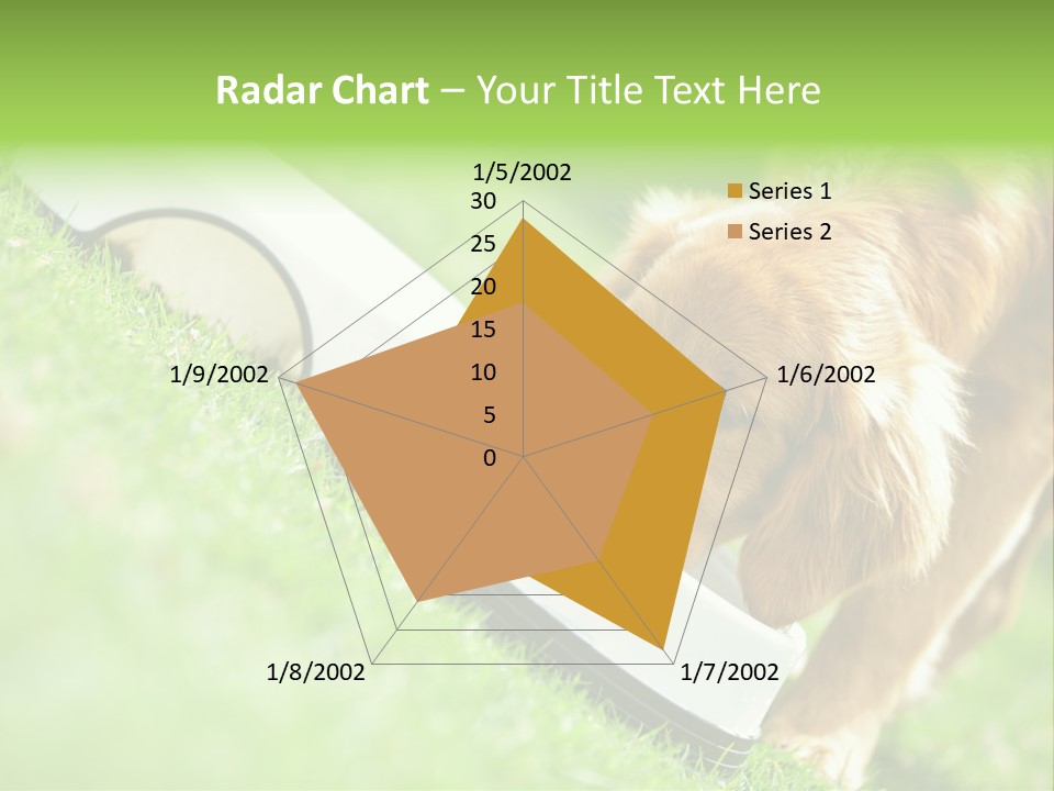 Doggie Lifestyle Dog PowerPoint Template