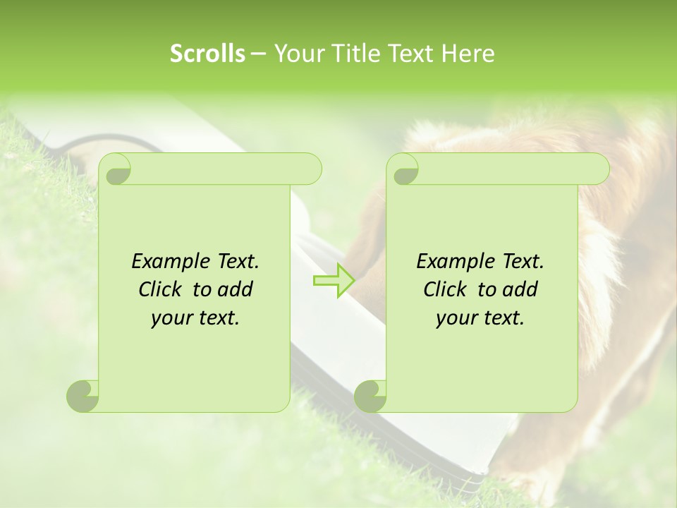 Doggie Lifestyle Dog PowerPoint Template