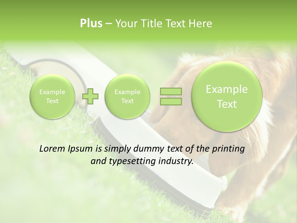 Doggie Lifestyle Dog PowerPoint Template