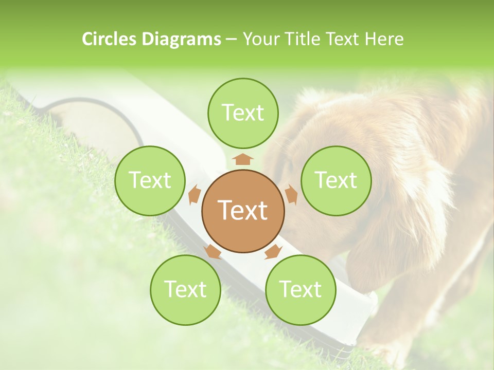 Doggie Lifestyle Dog PowerPoint Template
