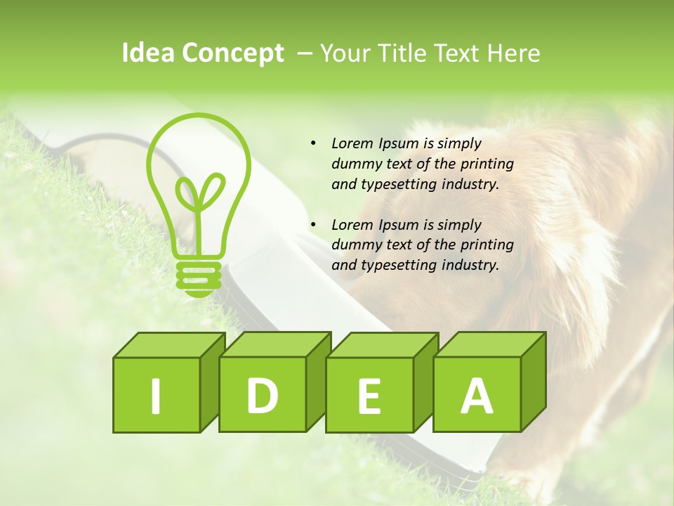 Doggie Lifestyle Dog PowerPoint Template