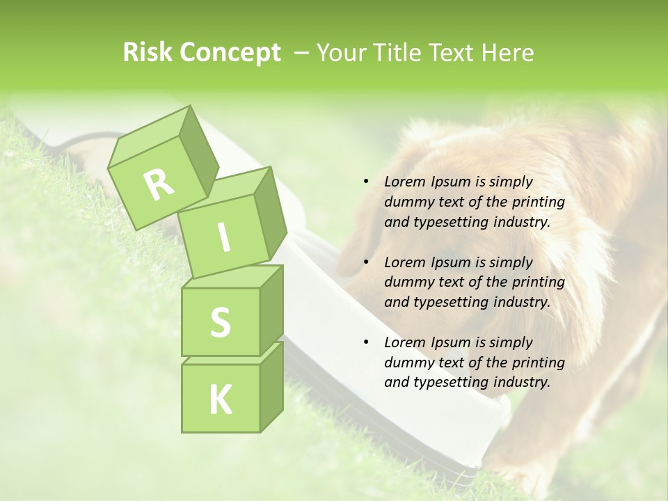 Doggie Lifestyle Dog PowerPoint Template