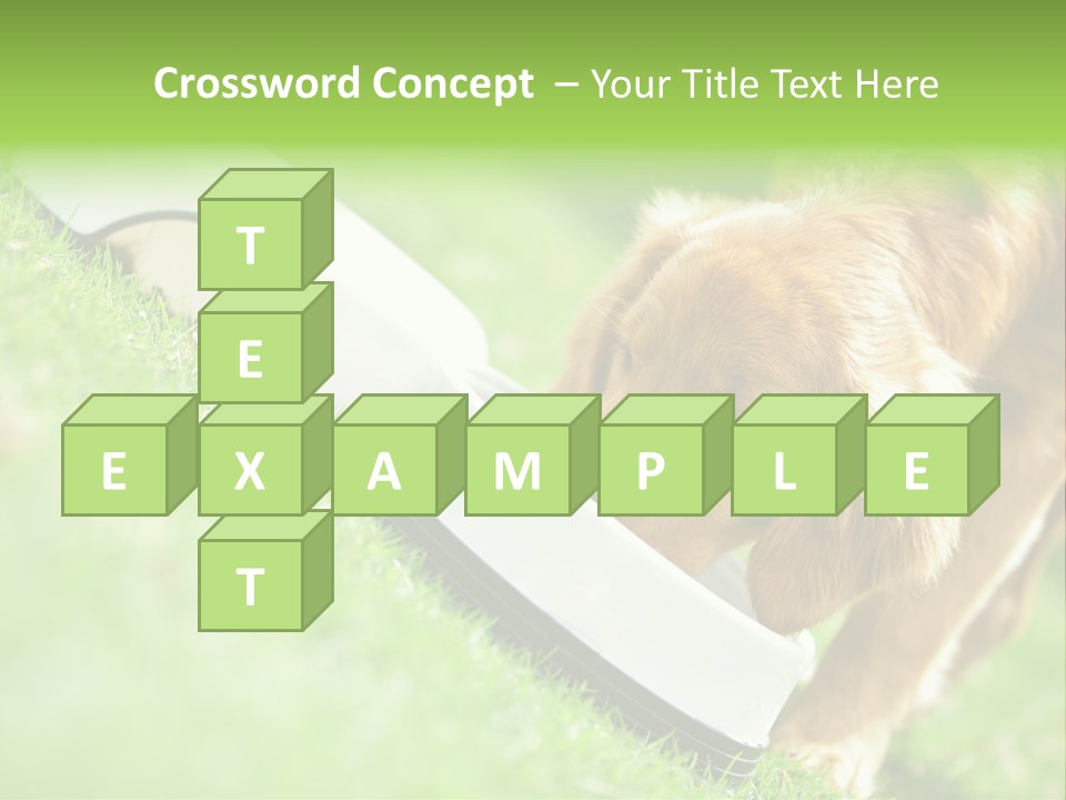 Doggie Lifestyle Dog PowerPoint Template