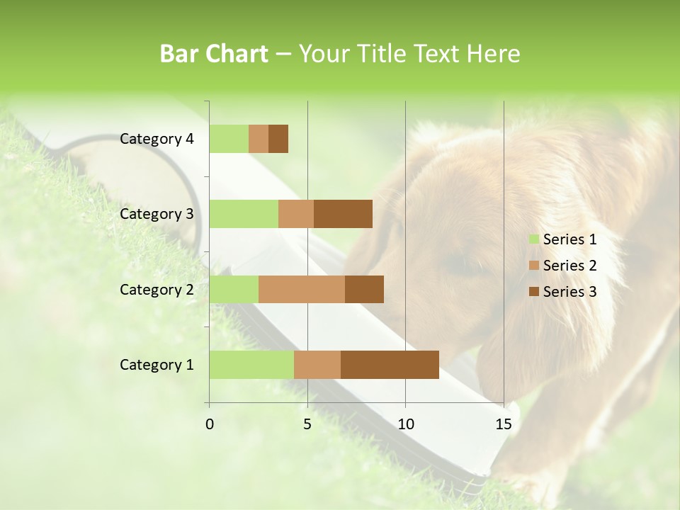 Doggie Lifestyle Dog PowerPoint Template