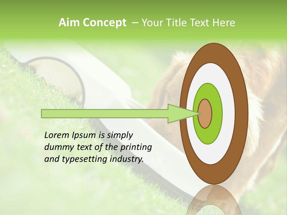 Doggie Lifestyle Dog PowerPoint Template