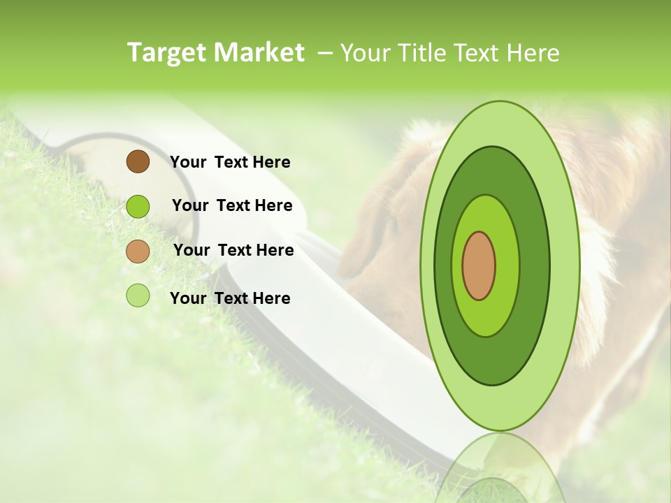 Doggie Lifestyle Dog PowerPoint Template