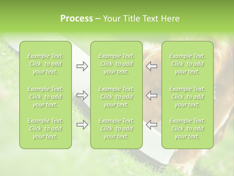 Doggie Lifestyle Dog PowerPoint Template