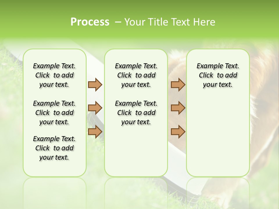 Doggie Lifestyle Dog PowerPoint Template