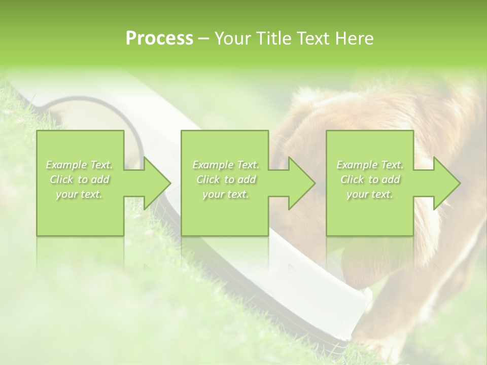 Doggie Lifestyle Dog PowerPoint Template