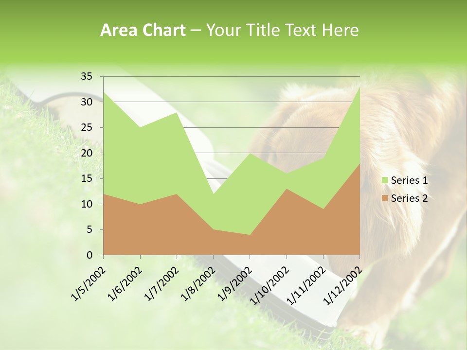 Doggie Lifestyle Dog PowerPoint Template