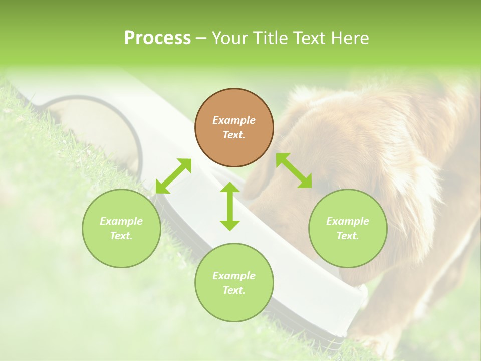 Doggie Lifestyle Dog PowerPoint Template
