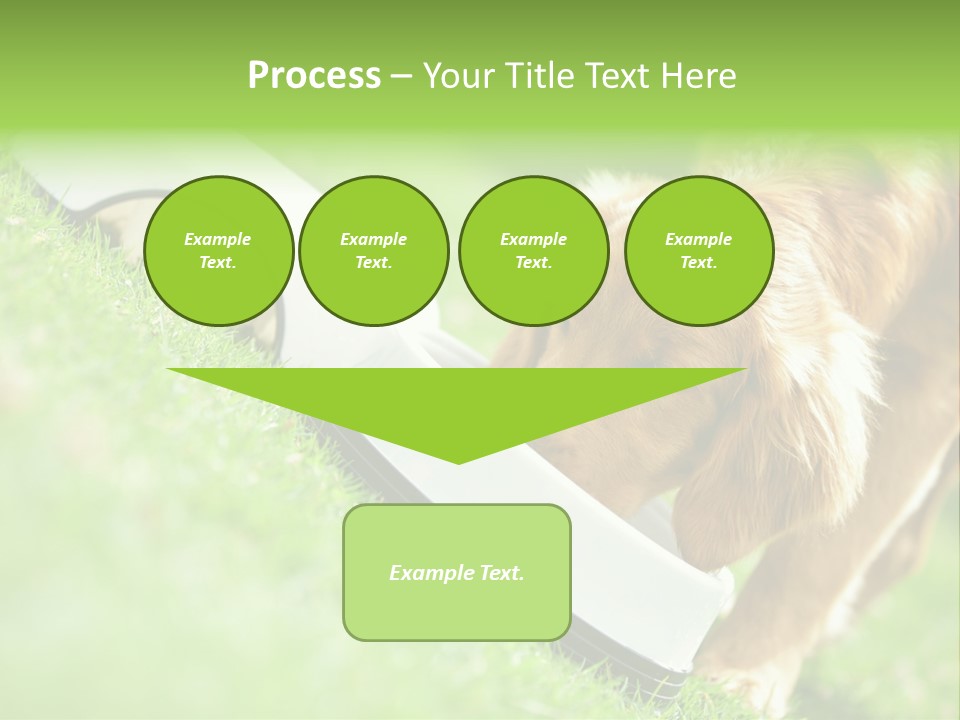 Doggie Lifestyle Dog PowerPoint Template