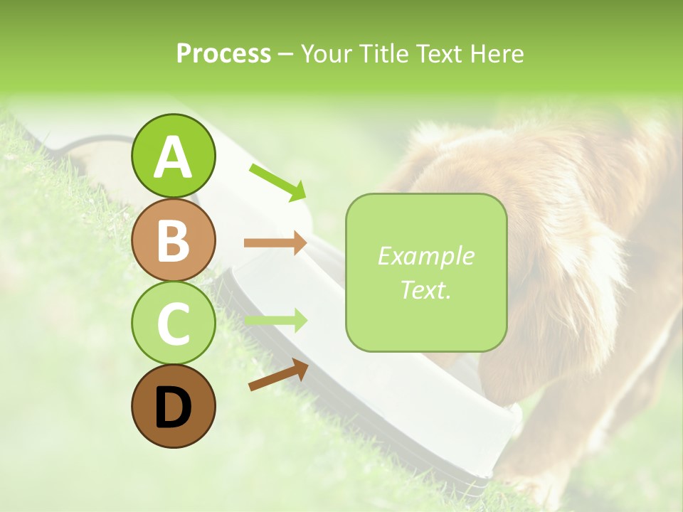 Doggie Lifestyle Dog PowerPoint Template