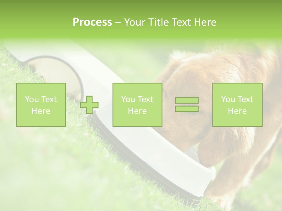 Doggie Lifestyle Dog PowerPoint Template