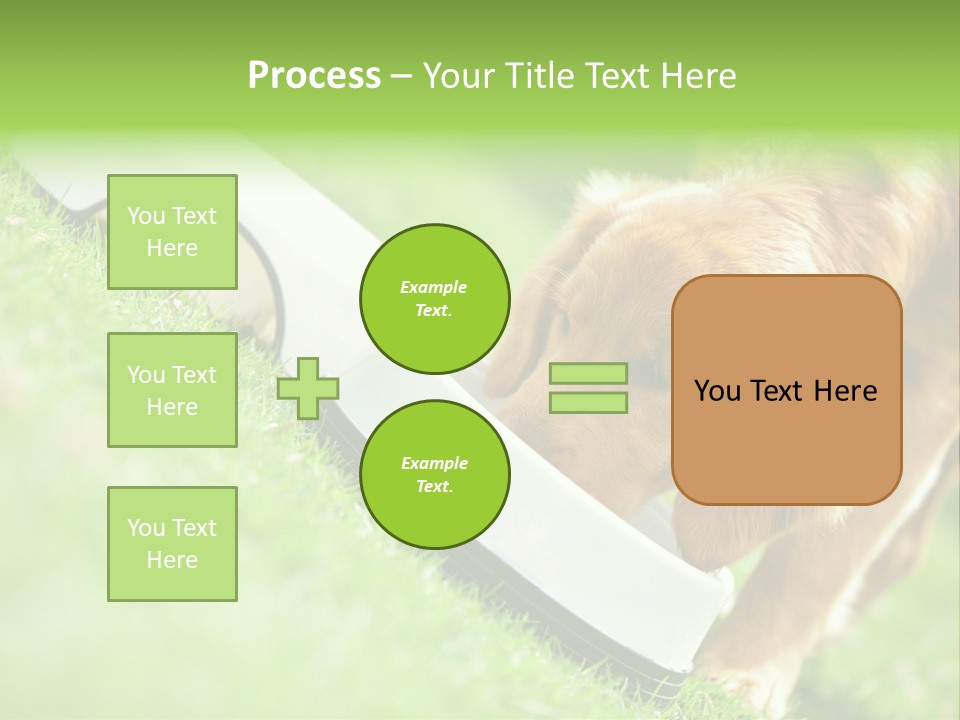 Doggie Lifestyle Dog PowerPoint Template