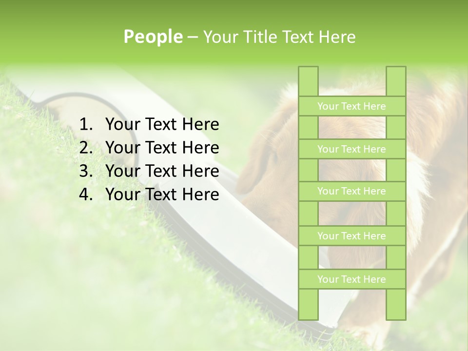 Doggie Lifestyle Dog PowerPoint Template